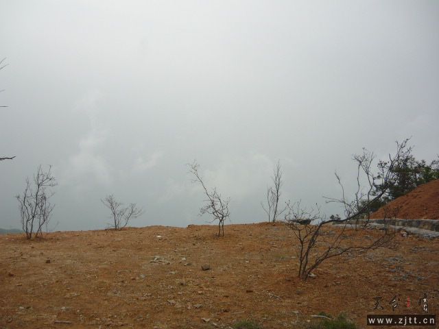 P1060130.JPG