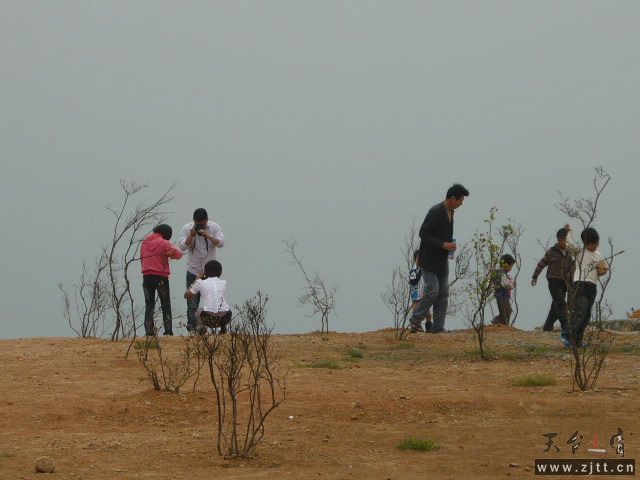 P1060147.JPG