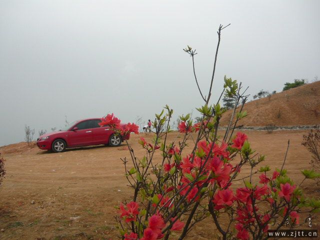 P1060148.JPG
