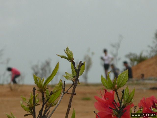 P1060153.JPG