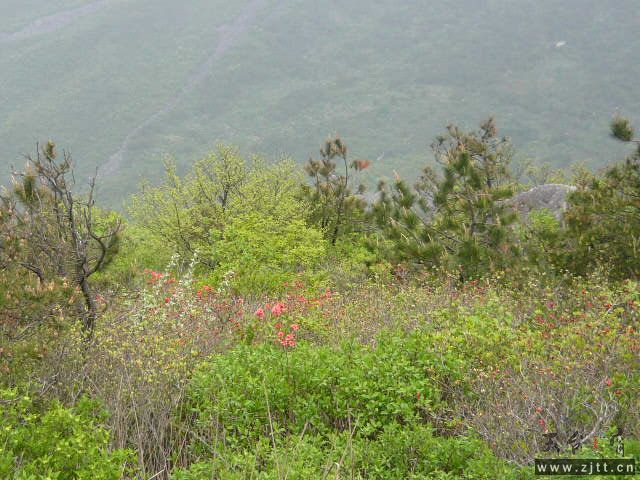 P1060162.JPG