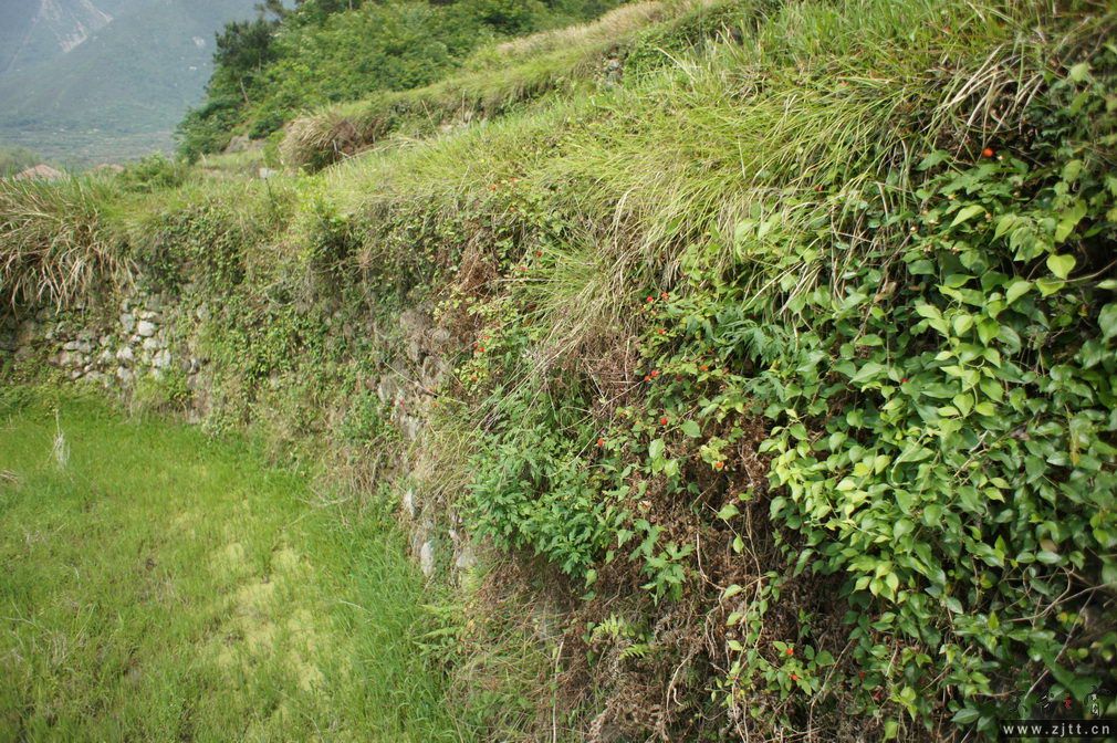 DSC00587_调整大小.jpg