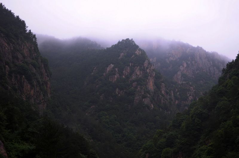 DSC_0012.jpg