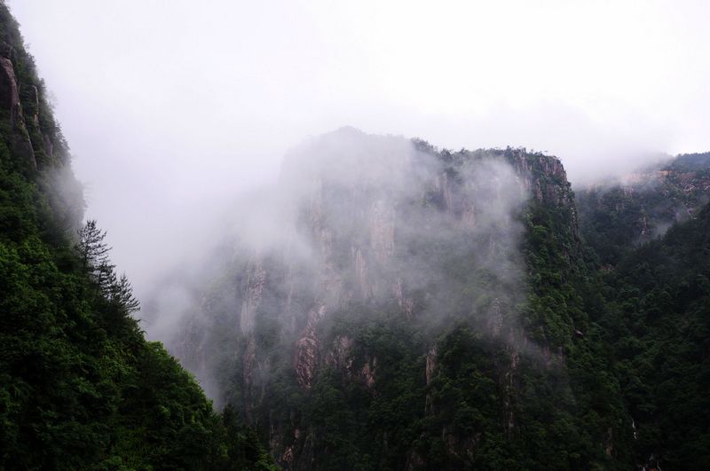 DSC_0121.jpg
