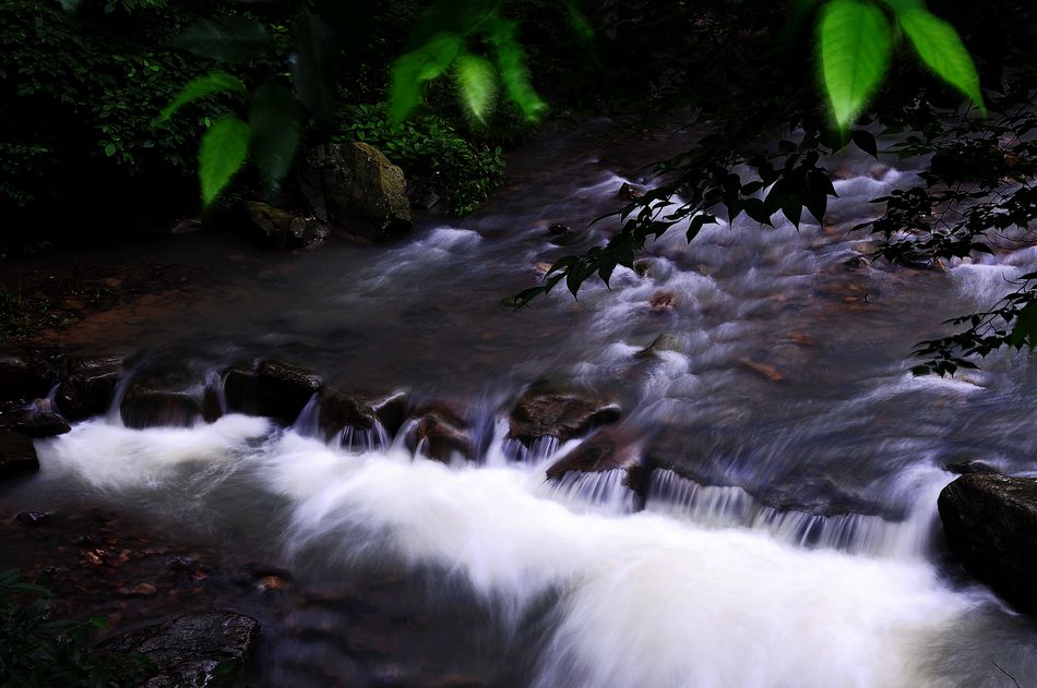 DSC_0053.jpg