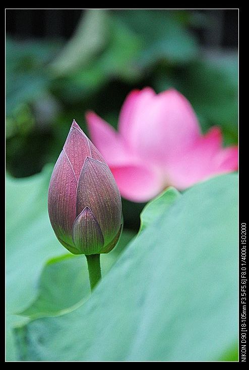 nEO_IMG_DSC_0009.jpg