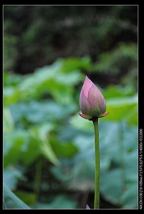 nEO_IMG_DSC_0017.jpg