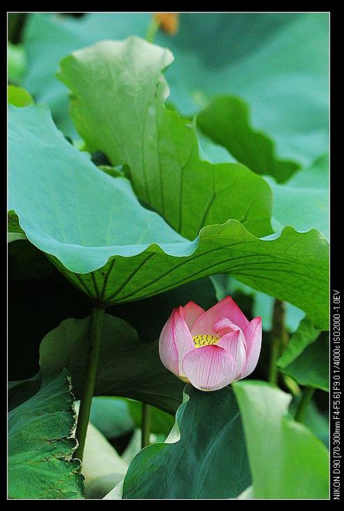 nEO_IMG_DSC_0045.jpg