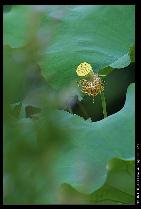 nEO_IMG_DSC_0056.jpg