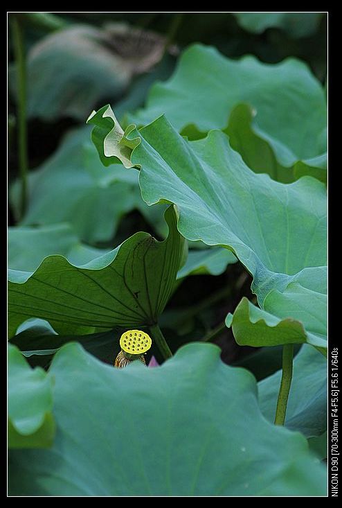 nEO_IMG_DSC_0052.jpg
