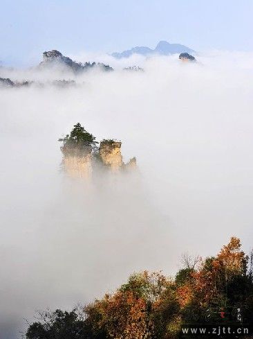 云海1.jpg