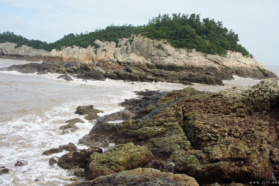DSC02178_调整大小.JPG