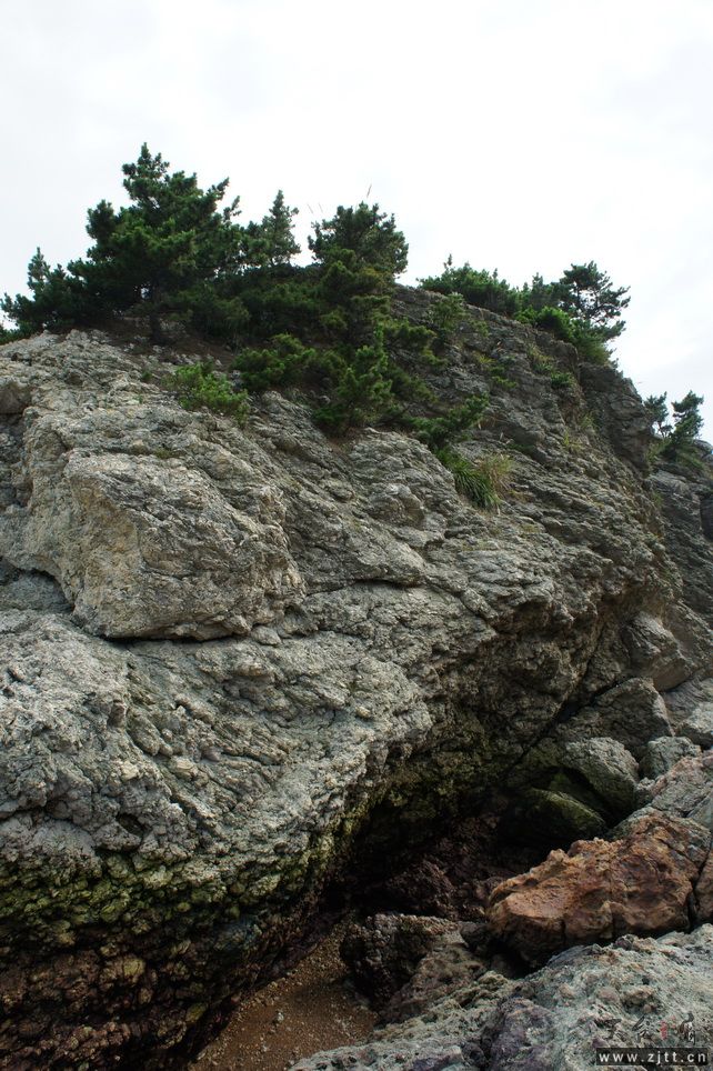 DSC02183_调整大小.JPG