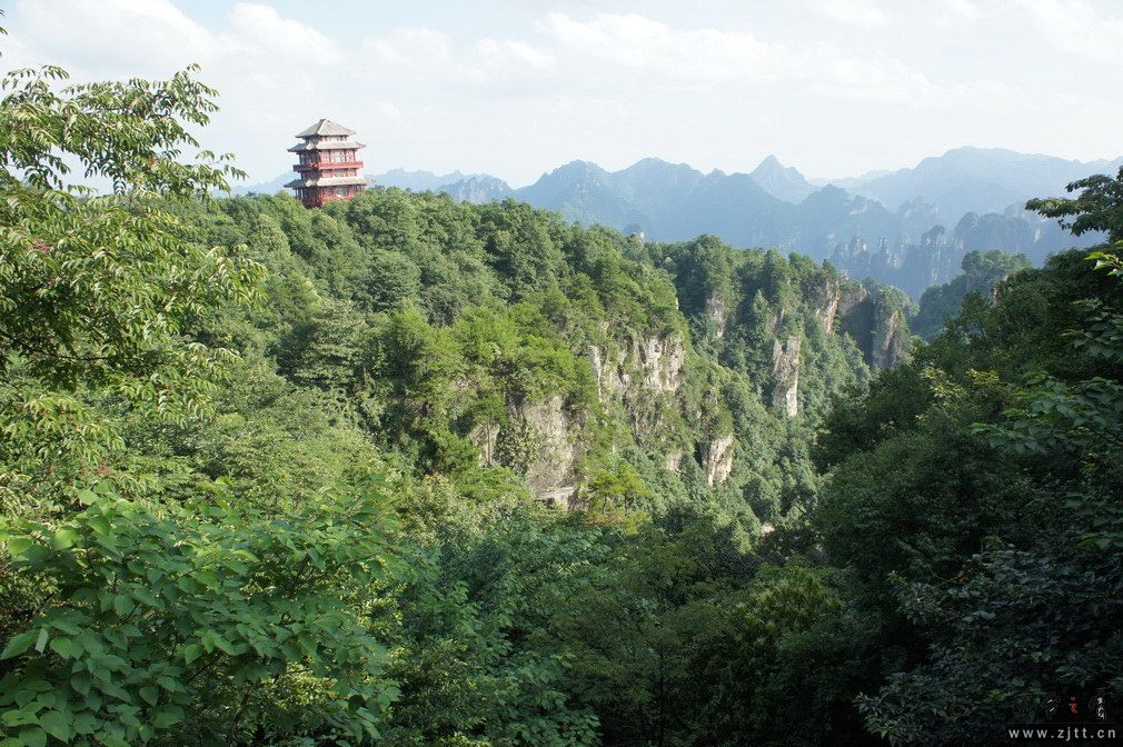 DSC03445_调整大小.jpg