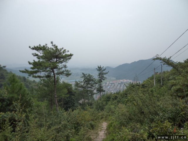 DSC01391.JPG