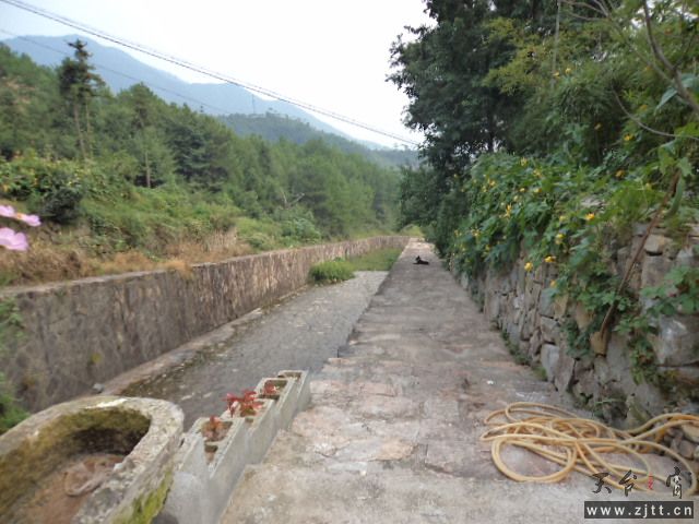 DSC01398.JPG