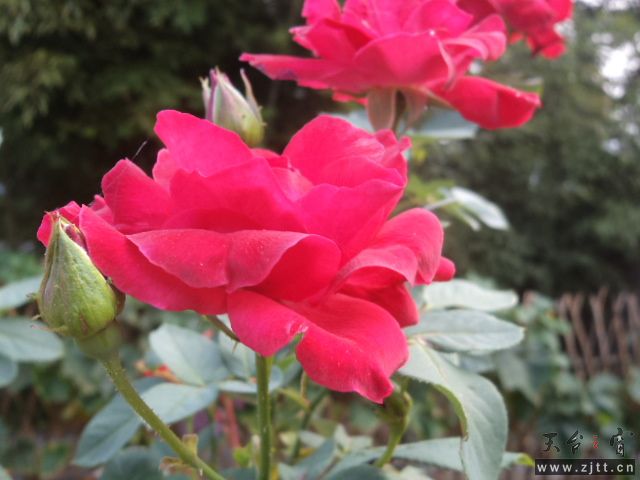 DSC01404.JPG