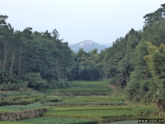 DSC01427.JPG