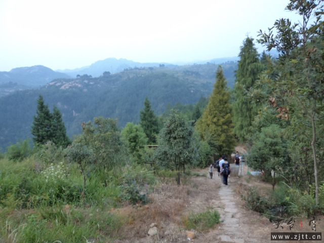 DSC01458.JPG