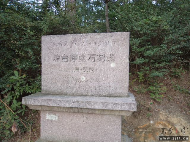 DSC01462.JPG