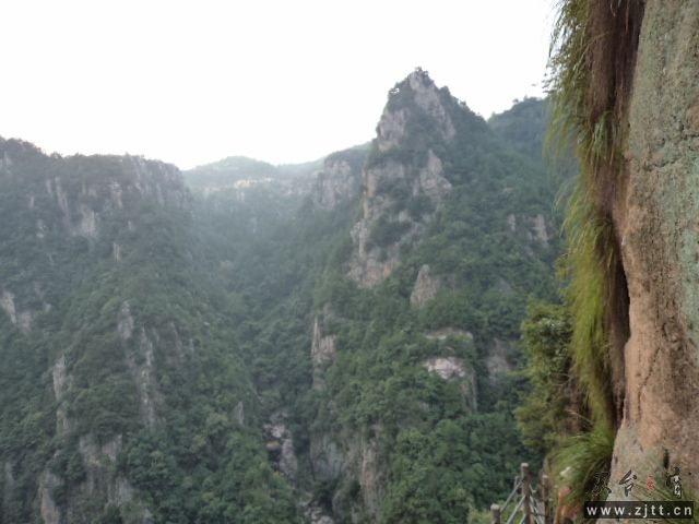 DSC01478.JPG
