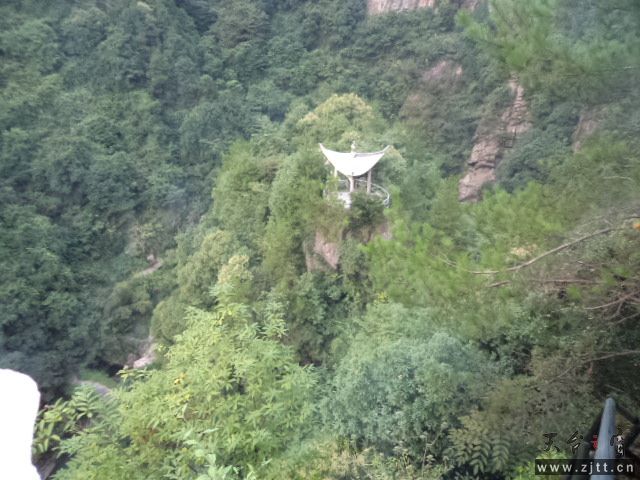 DSC01484.JPG