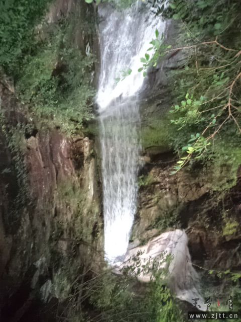 DSC01488.JPG