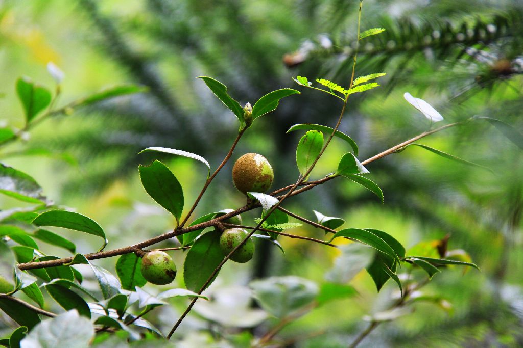 照片 055.jpg