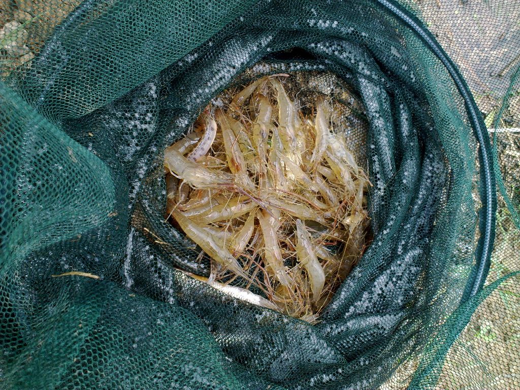 201110022155.jpg