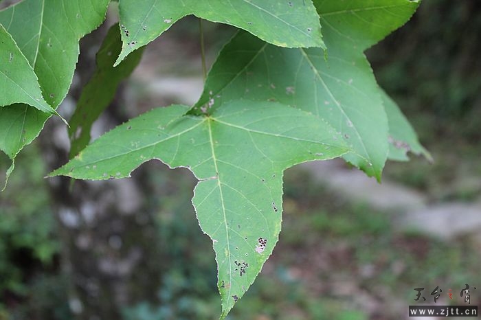 nEO_IMG_IMG_0773.jpg