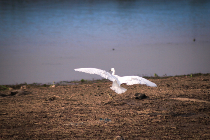 IMG_2449-201.JPG