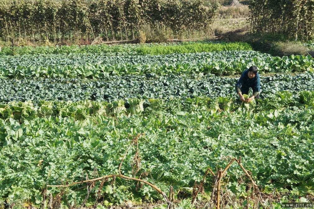 DSC01455_调整大小.JPG