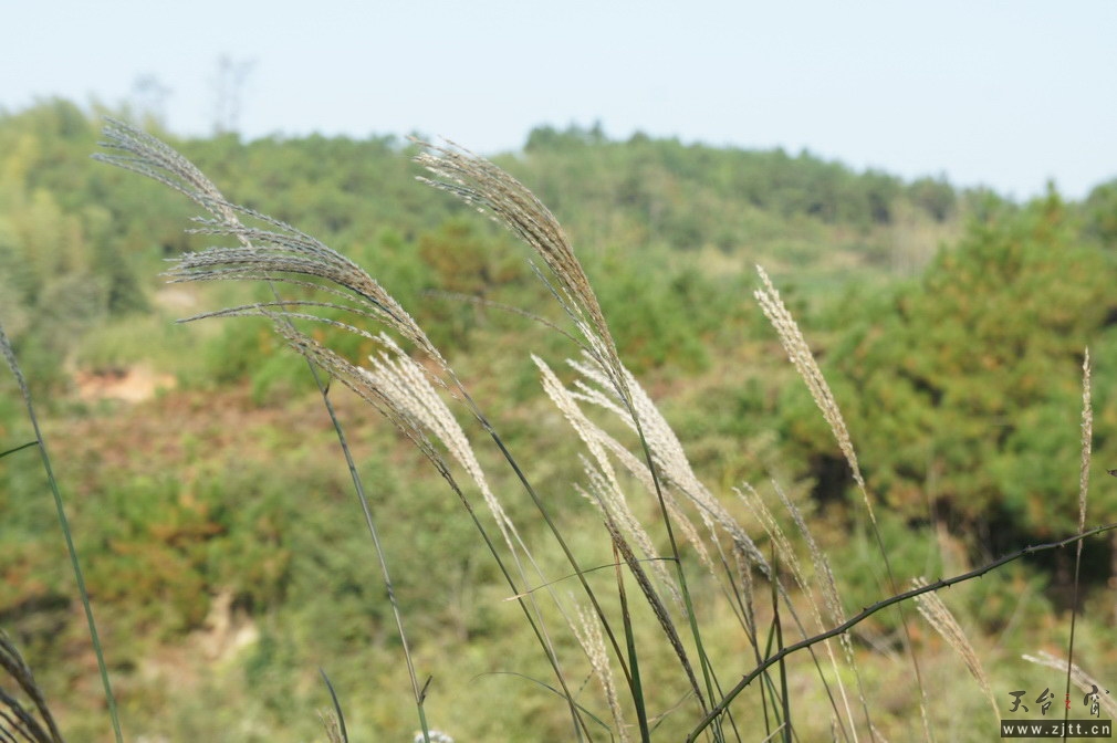 DSC01470_调整大小.jpg