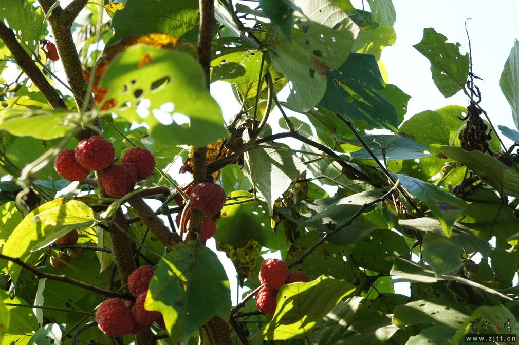 DSC01515_调整大小.jpg