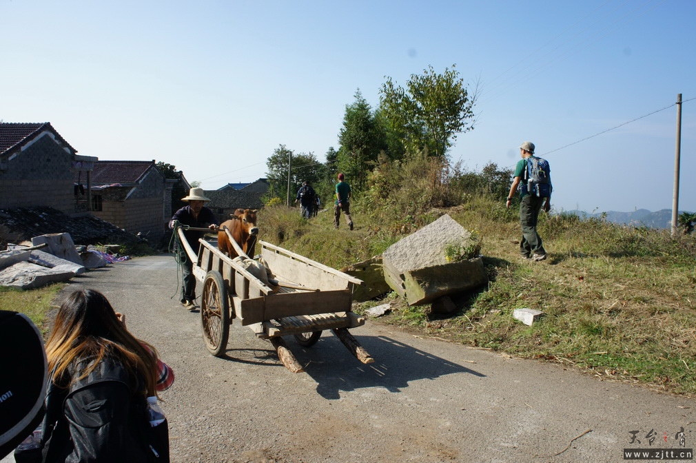 DSC01535_调整大小.jpg
