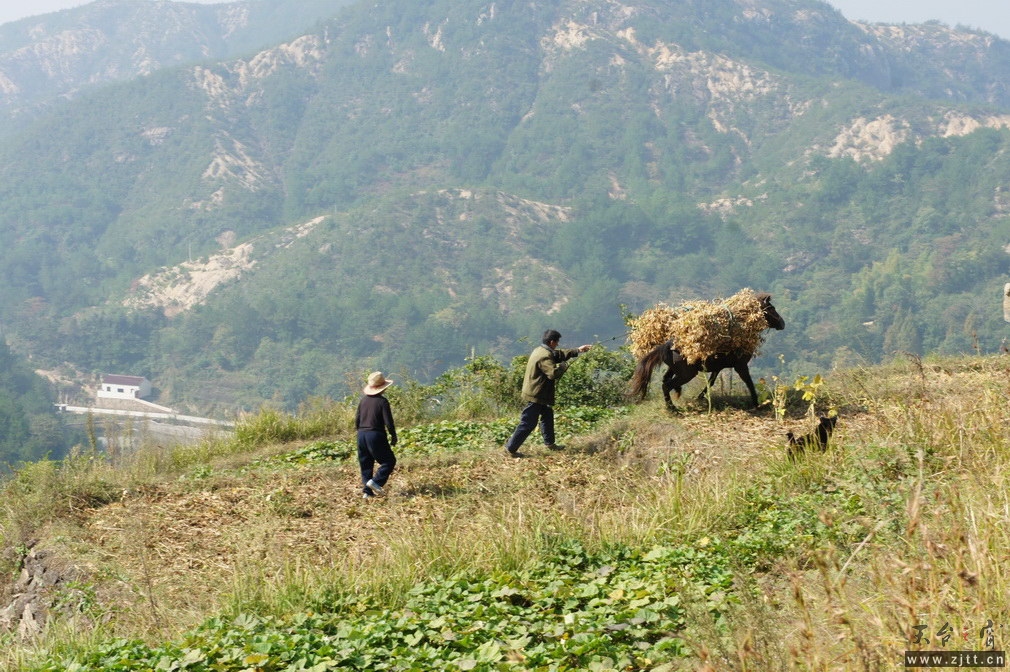 DSC01657_调整大小.jpg