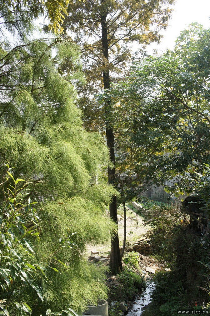 DSC01795_调整大小.jpg
