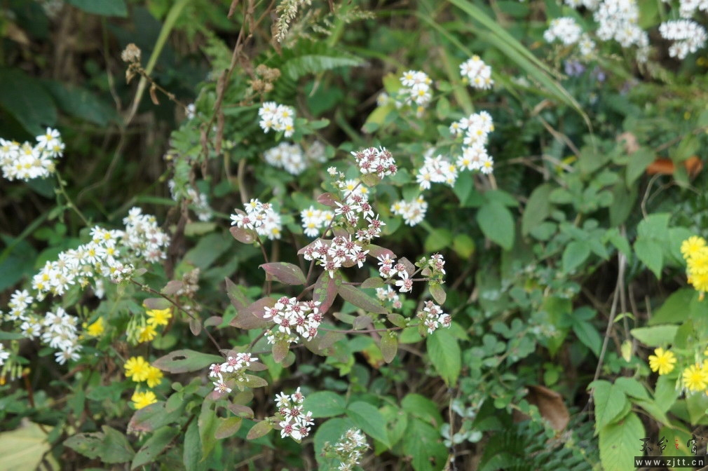 DSC01805_调整大小.jpg
