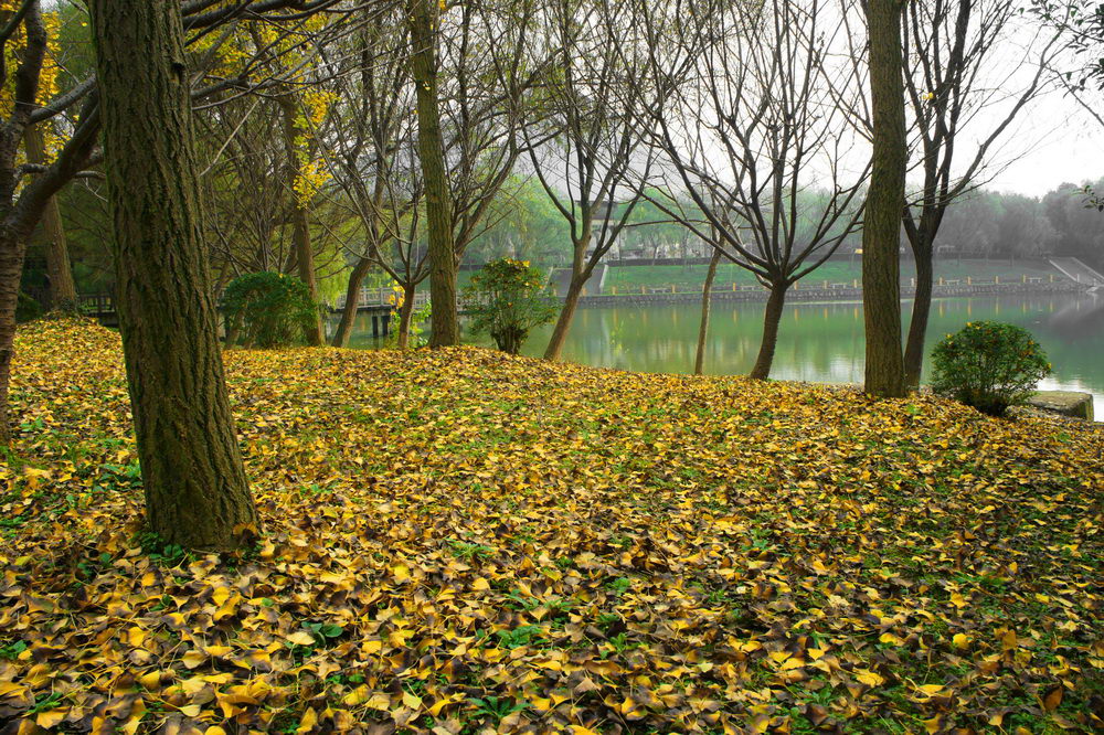 DSC02451-2.jpg