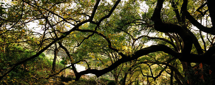 DSC_0025.jpg