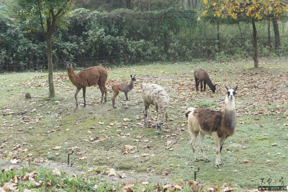 DSC02360_调整大小.jpg