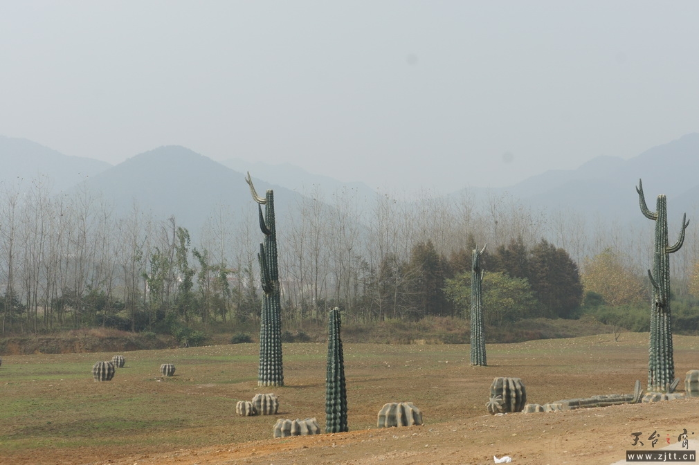 DSC02367_调整大小.JPG
