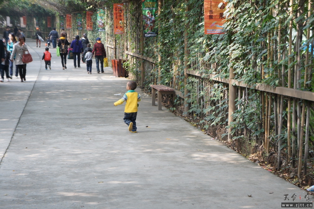 DSC02395_调整大小.JPG