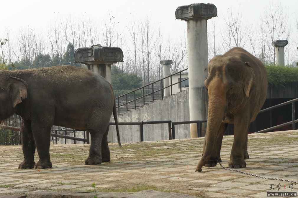 DSC02397_调整大小.JPG