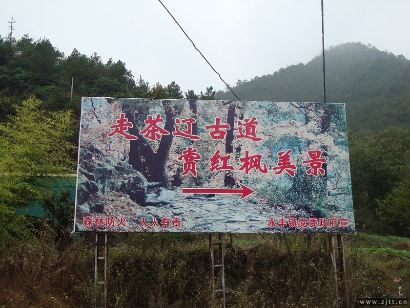 DSC02672.JPG