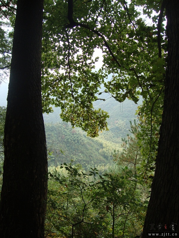 DSC02715.JPG