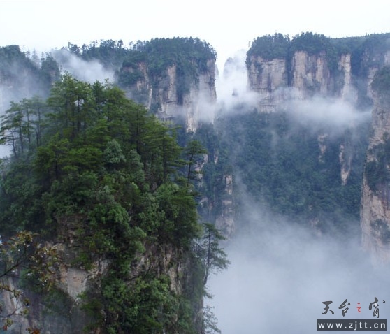 云海1.jpg