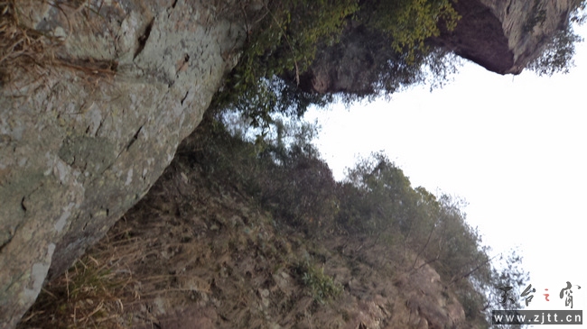 nEO_IMG_DSC00175.jpg