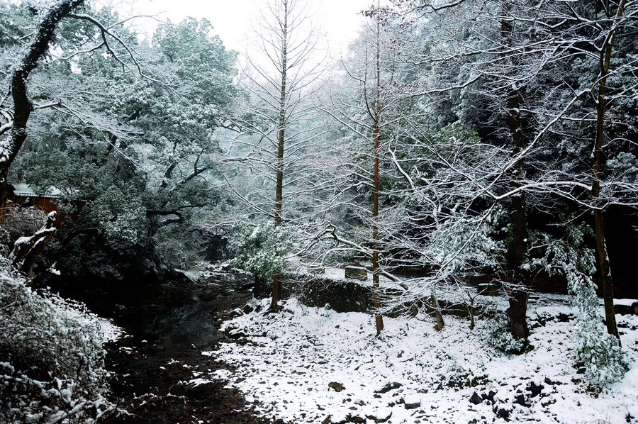 DSC_0005.jpg