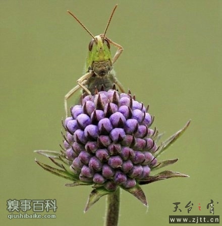 0wzyk87ttu6821 (53).jpg